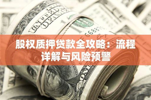武汉股权质押贷款全攻略：流程详解与风险预警