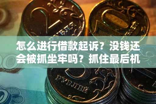 武汉怎么进行借款起诉？没钱还会被抓坐牢吗？抓住最后机会！