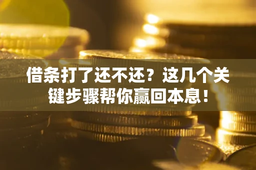 武汉借条打了还不还？这几个关键步骤帮你赢回本息！