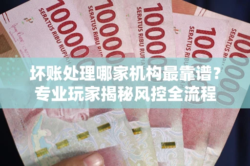 武汉坏账处理哪家机构最靠谱？专业玩家揭秘风控全流程