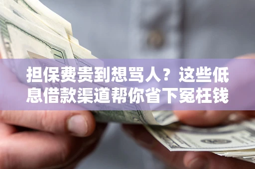 武汉担保费贵到想骂人？这些低息借款渠道帮你省下冤枉钱