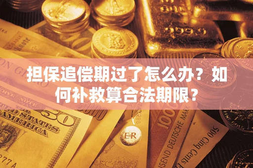 武汉担保追偿期过了怎么办？如何补救算合法期限？