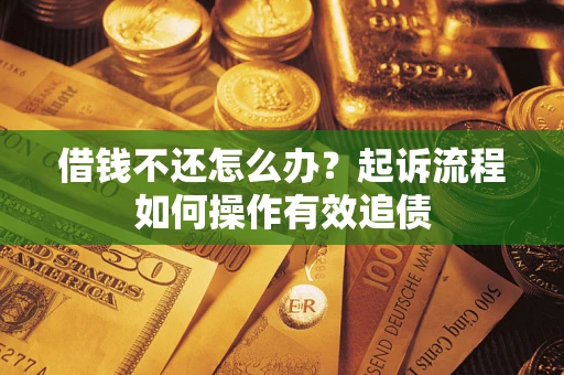 武汉借钱不还怎么办？起诉流程如何操作有效追债