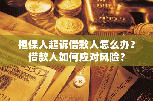 武汉担保人起诉借款人怎么办？借款人如何应对风险？