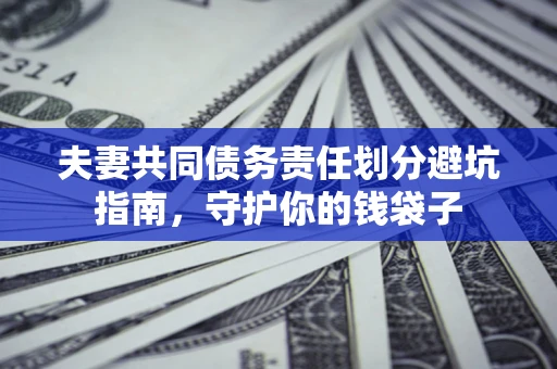武汉夫妻共同债务责任划分避坑指南，守护你的钱袋子