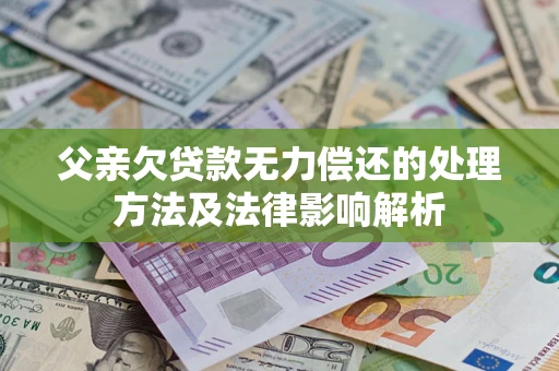 武汉父亲欠贷款无力偿还的处理方法及法律影响解析