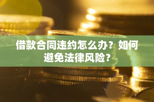 武汉借款合同违约怎么办？如何避免法律风险？