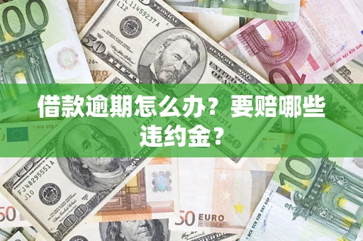 武汉借款逾期怎么办？要赔哪些违约金？